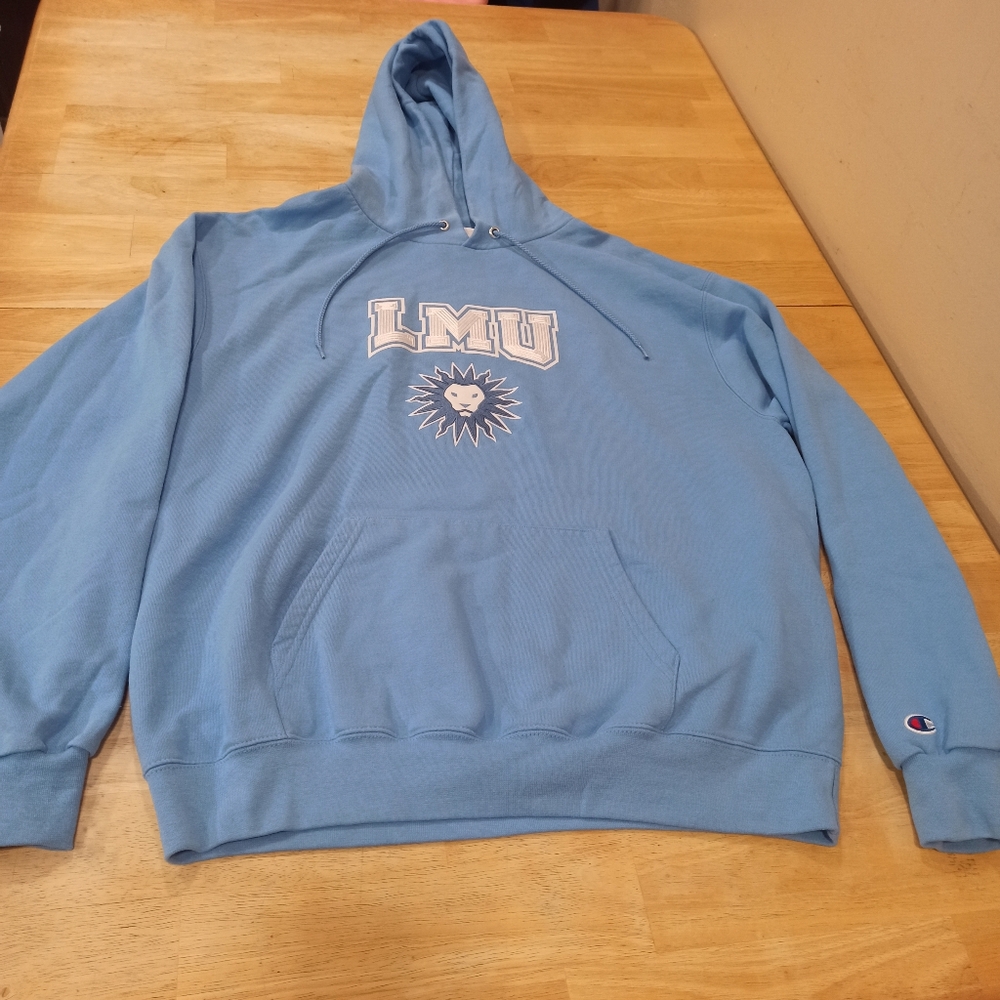 Champion Blue Men's Pullover Hoodie Sweater Size Large
